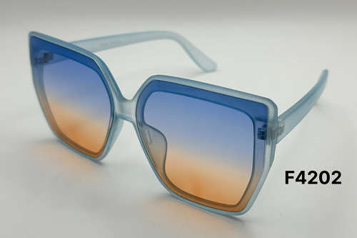 Colorful Frame Sunglasses Bulk Pack | 12 PCS Assorted