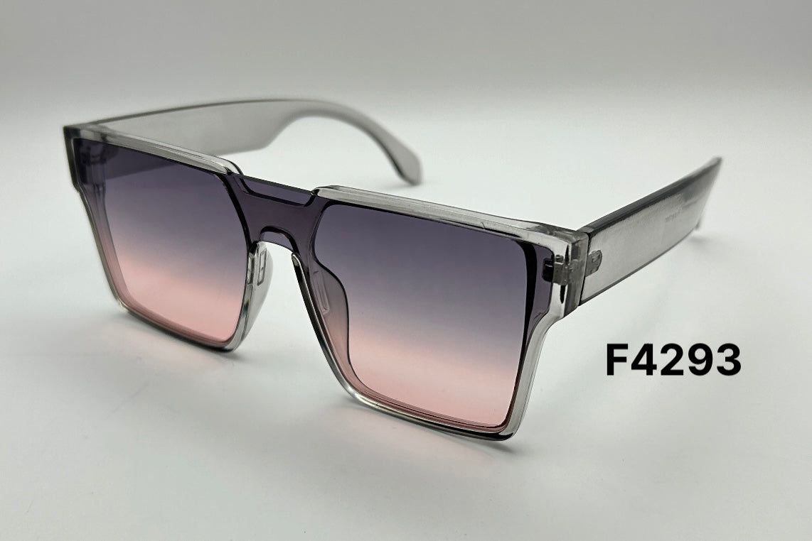 F4293
