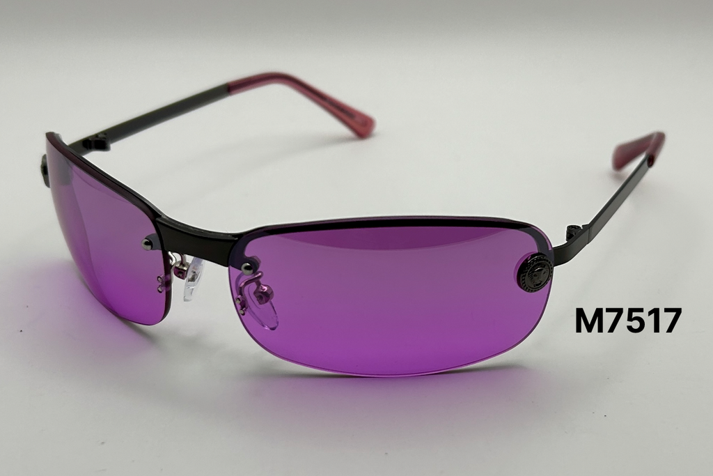 Semi Rimless Narrow Wrap Lion Accent Sunglasses Bulk Pack | 12 PCS Assorted