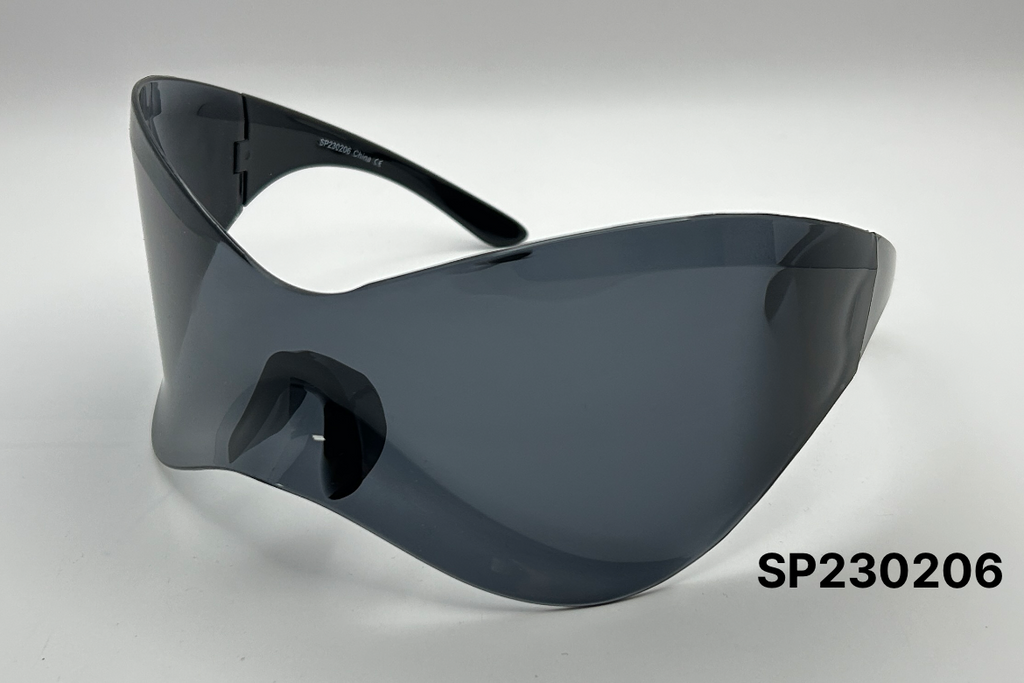 SP230206